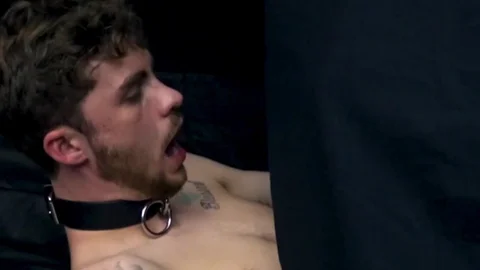 RawFuckBoys - Tight amateur Scott agrees to breeding